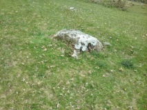 Nant Bryn Celynog Stone and possible Cairn