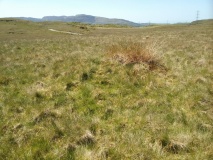 Roman Burial Mound (Dolddinas)