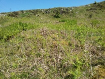 Dolbelydr Enclosed Hut Circle Settlement
