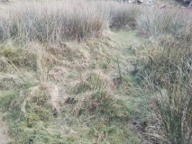Pant Engan Hut Circle