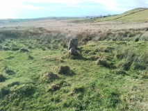 Caerfadog Uchaf Enclosed Hut Circle Settlement