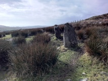 Cwm Ystradllyn Standing Stones