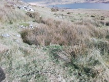 Cwm Ystradllyn Hut Circle Settlement