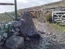 Cwm Ystradllyn Standing Stones