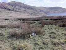 Cwm Ystradllyn Cairn Cemetery