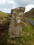 Hafotty fach gate menhirs