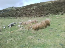 Llynnau Cregennau Cairn