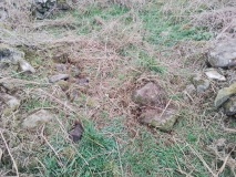 Bwlch Gwernog Settlement