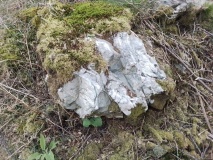 Bwlch Gwernog Cairn and Cist