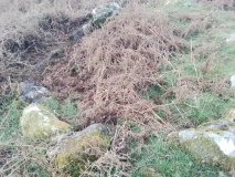 Cwm Dylif Hut Circle Settlement