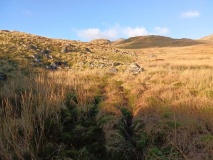 Afon Lliw Hut Circle