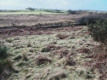 Cil Drygwr Settlement