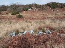 Carnedd Cil Drygwr