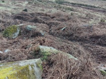 Cil Drygwr Settlement