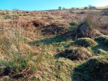 Cae Du Hut Circle Settlement