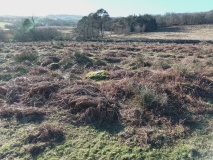 Cae Du Hut Circle Settlement