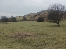 Bryniau Ystumcegid Hut Circles