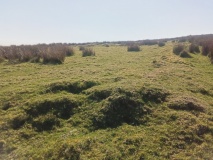 Hut Circle Settlement NW of Ty'r Dewin