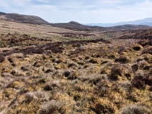 Afon Erwent Hut Circle.