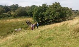Possible Cairn at Ty'n Llwyn