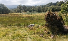 Possible Cairn at Ty'n Llwyn