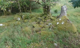Possible Settlement sites at Ty'n Llwyn