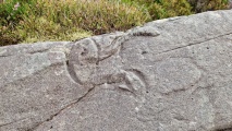 Llyn Du Carved stone - PID:294658