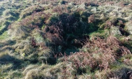Cefn Caer Euni Round Cairn 2