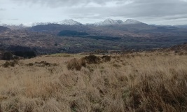 Pant Paladr Burnt Mound