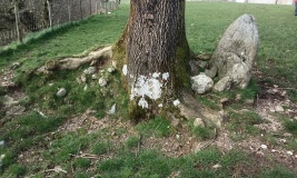 Carreg Llystyn Gwyn