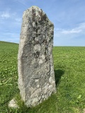 Moel Goedog 7 - PID:231966 Moel Goedog 7 - PID:231966