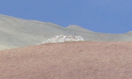 Craig Cwmbychan Cairn