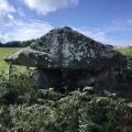 Mynydd Cefn Amlwch - PID:215476