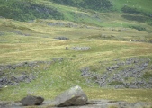 Bryn Cader Faner - PID:92972