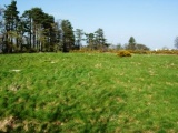 Dinas Dinorwig - PID:37887