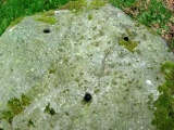 Dinas Dinorwig - PID:37893