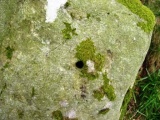 Dinas Dinorwig - PID:37889