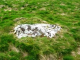 Dinas Dinorwig - PID:37894