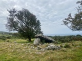 Cors y Gedol - PID:295010