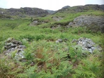 Nant Ddu hut circles