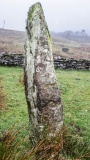 Fach Goch - PID:205989 Fach Goch - PID:205989