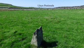 Moel Goedog 6