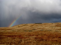 Bryn Cader Faner - PID:55556