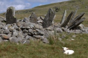 Bryn Cader Faner - PID:77497
