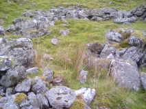 Gamallt hut circles