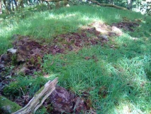 Coed Pen Y Bryn Defended Settlement