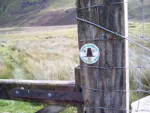 Afon Arthog Cairns