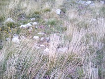 Hut Circle South of Pared Y Cefn hir