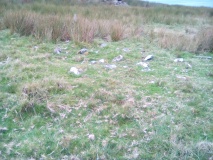 Afon Gwril Cairn