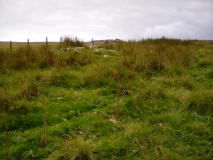 Afon Gwril Hut Circle Settlement